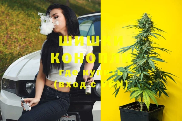 дживик Беломорск