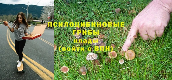 спайс Белокуриха