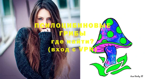 гидра Балабаново