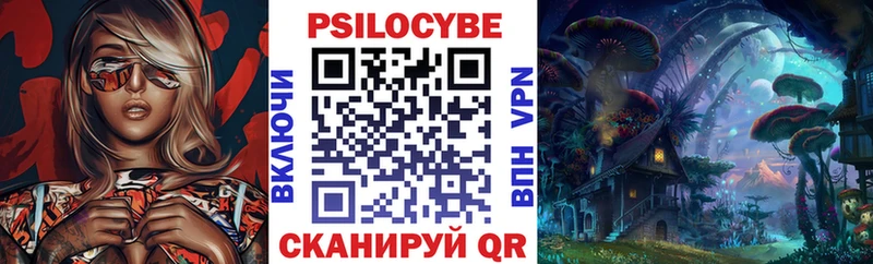 Псилоцибиновые грибы Psilocybine cubensis купить наркотики цена Кизляр